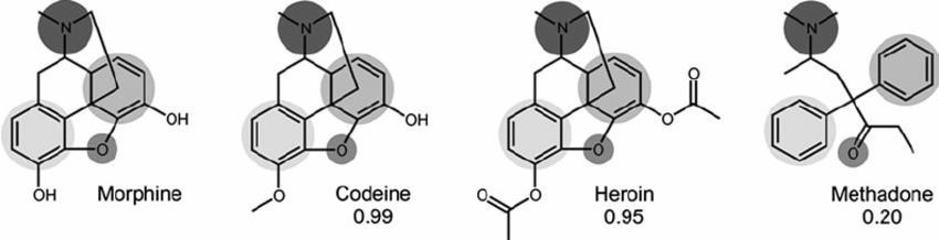 effects methadone Medway MA