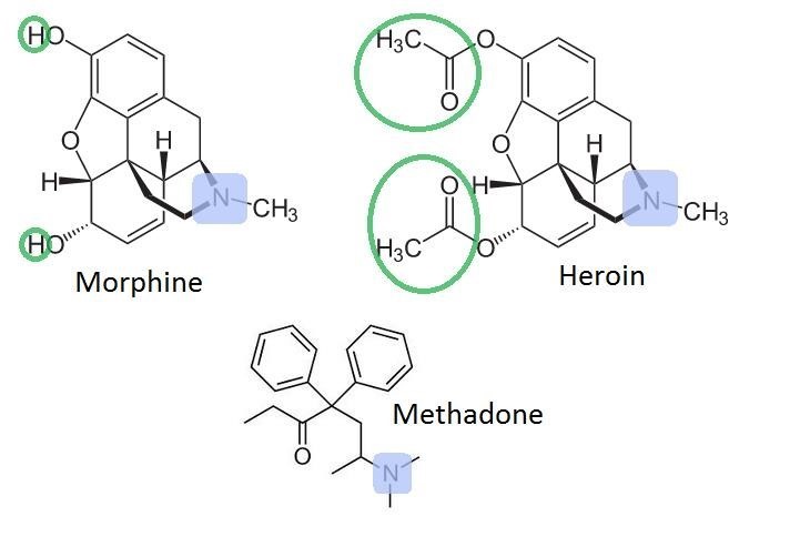 methadone intoxication Mechanicstown NY