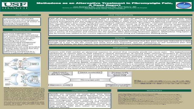 is methadone an opiate blocker Palmetto FL